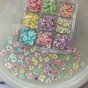 Pressed Dried Flower gems