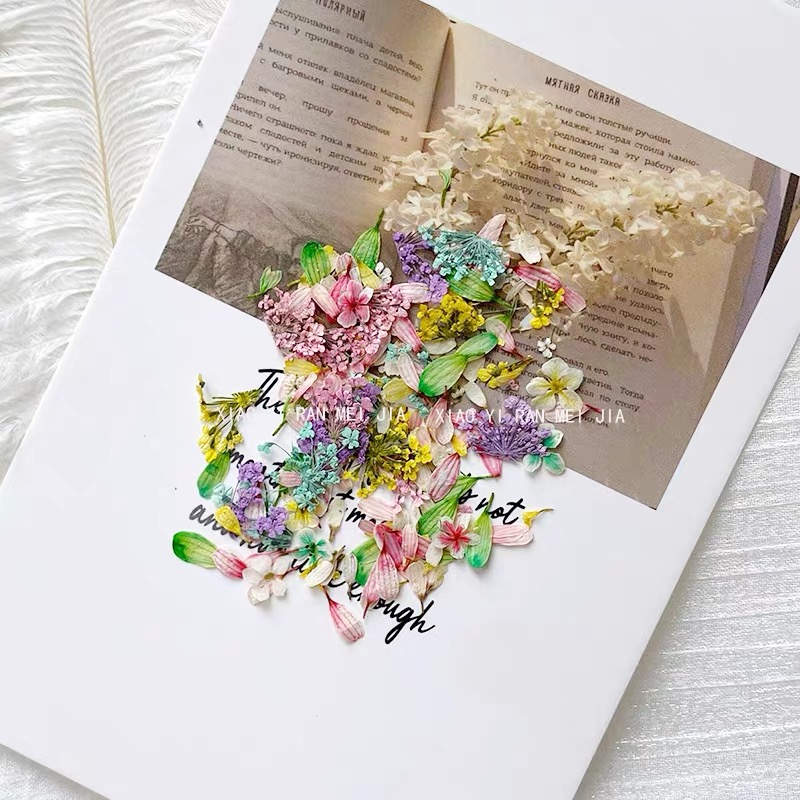 Mixed Color Pressed Flower Kit 