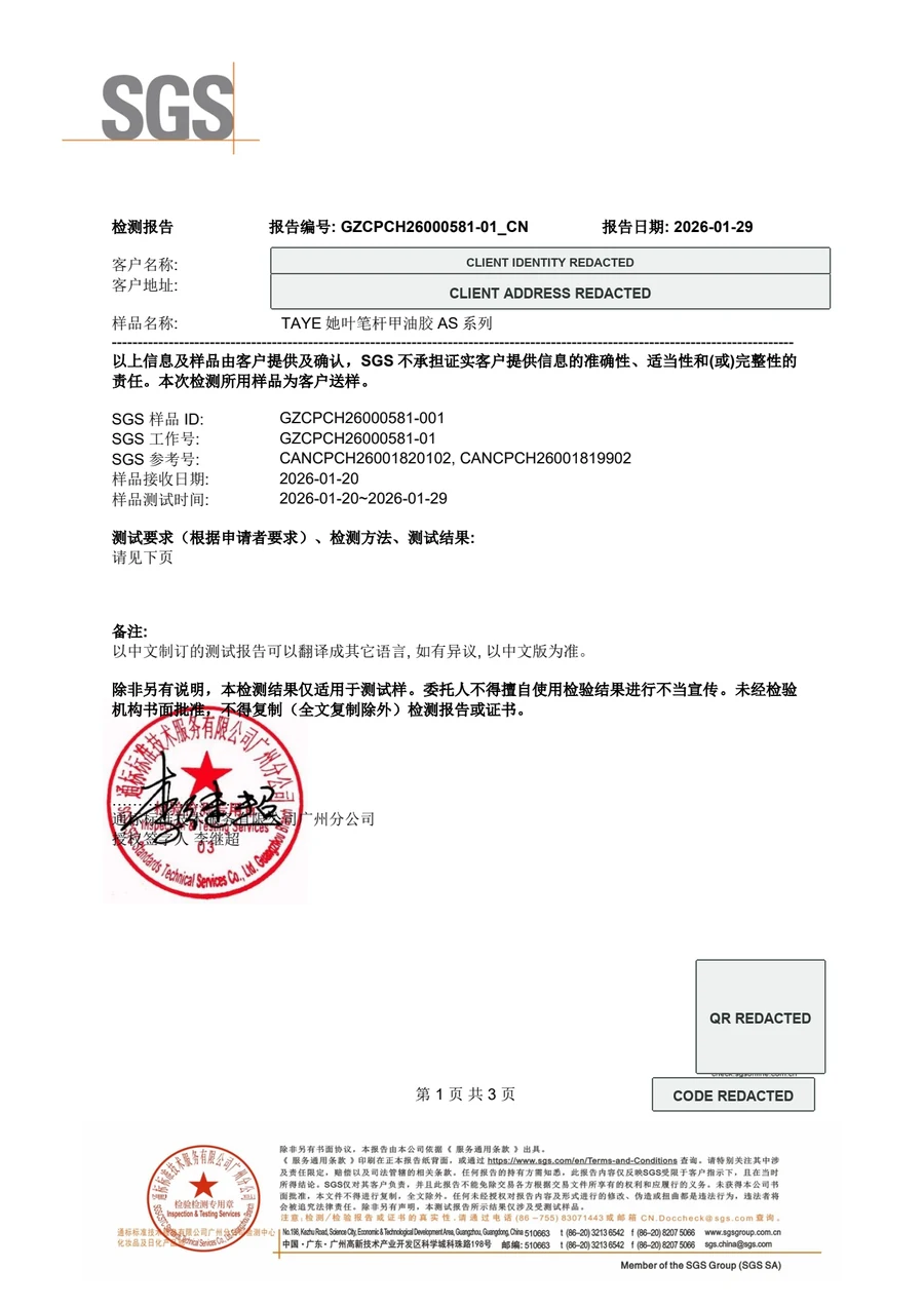 Privacy-redacted TAYE SGS report preview