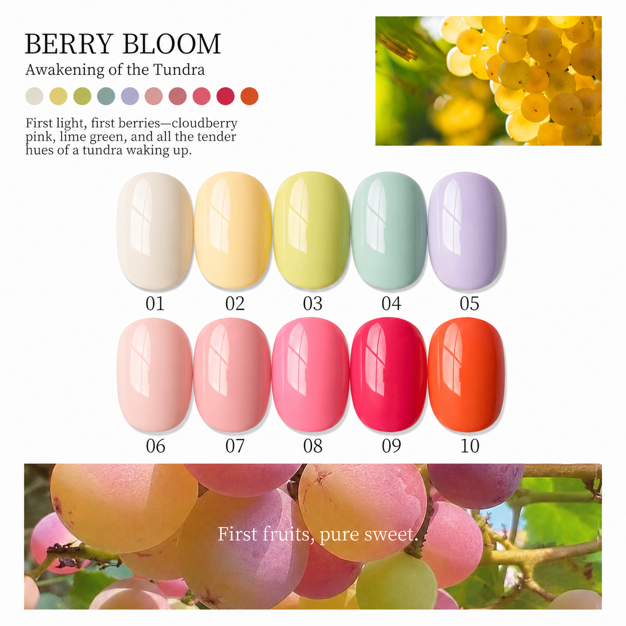 MODING-Berry Rambles 60-Color Pot Gel Collection 10 MODING-Berry Rambles 60-Color Pot Gel Collection - Image 10