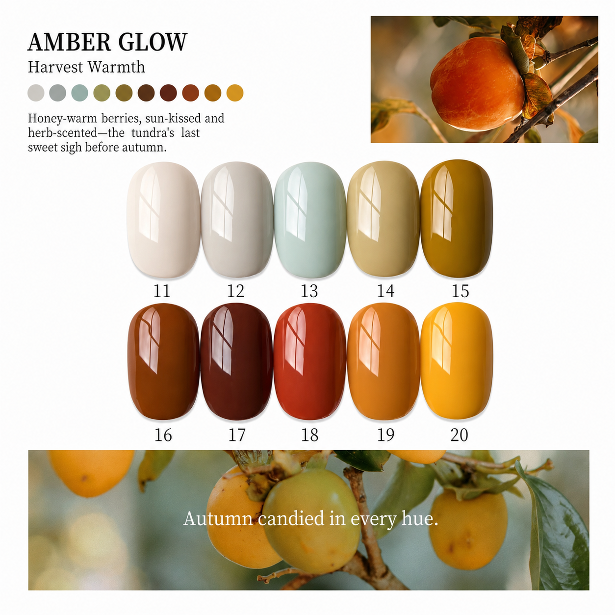 MODING-Berry Rambles 60-Color Pot Gel Collection 9 MODING-Berry Rambles 60-Color Pot Gel Collection - Image 9