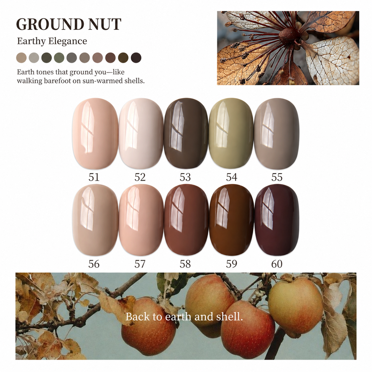 MODING-Berry Rambles 60-Color Pot Gel Collection 6 MODING-Berry Rambles 60-Color Pot Gel Collection - Image 6
